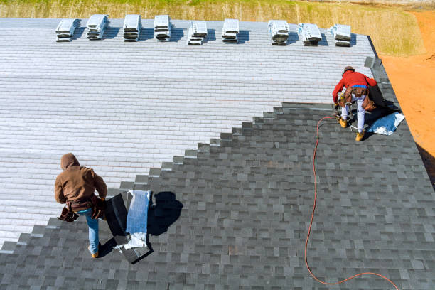 Best Metal Roofing Contractor  in Dyersville, IA