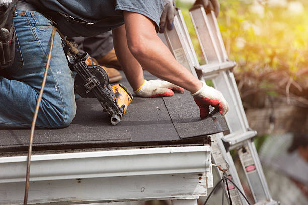 Best Gutter Installation and Roofing  in Dyersville, IA