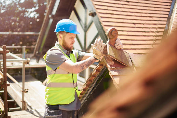 Best Roof Maintenance Services  in Dyersville, IA